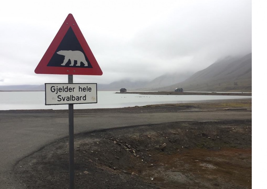 Svalbard. Foto: Hedda Langemyr
